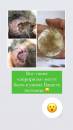   » Click to zoom ->