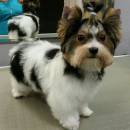   &raquo; Click to zoom ->