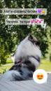   &raquo; Click to zoom ->