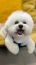   &raquo; Click to zoom ->