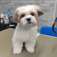   &raquo; Click to zoom ->